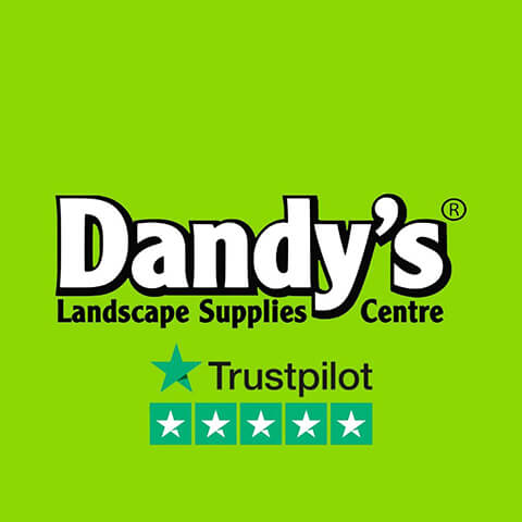 Dandys