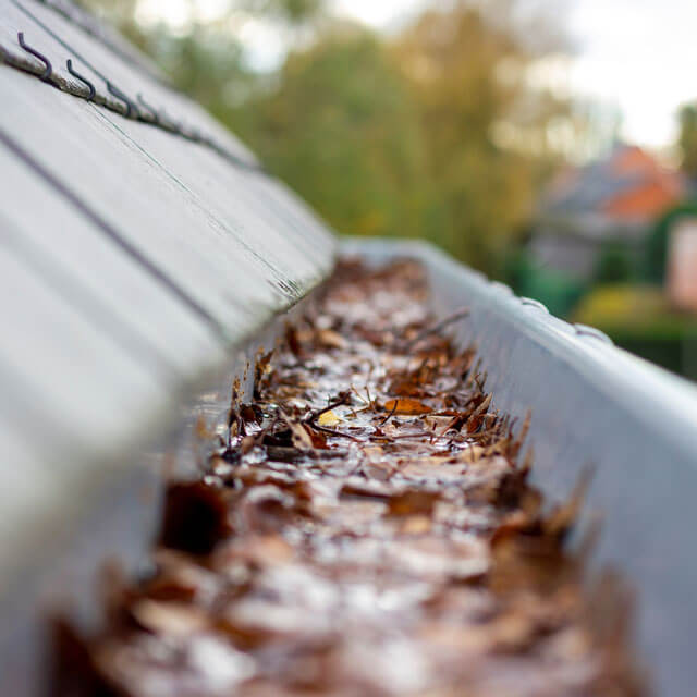 gutter cleaning