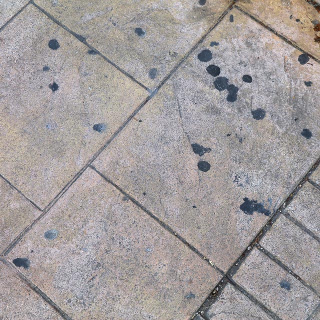 chewing gum on pavement