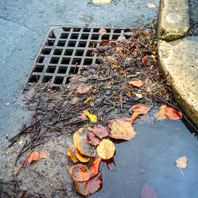 wet and clogged rain