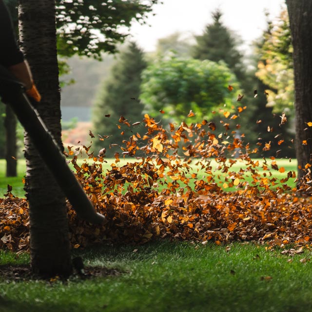 opering leaf blower