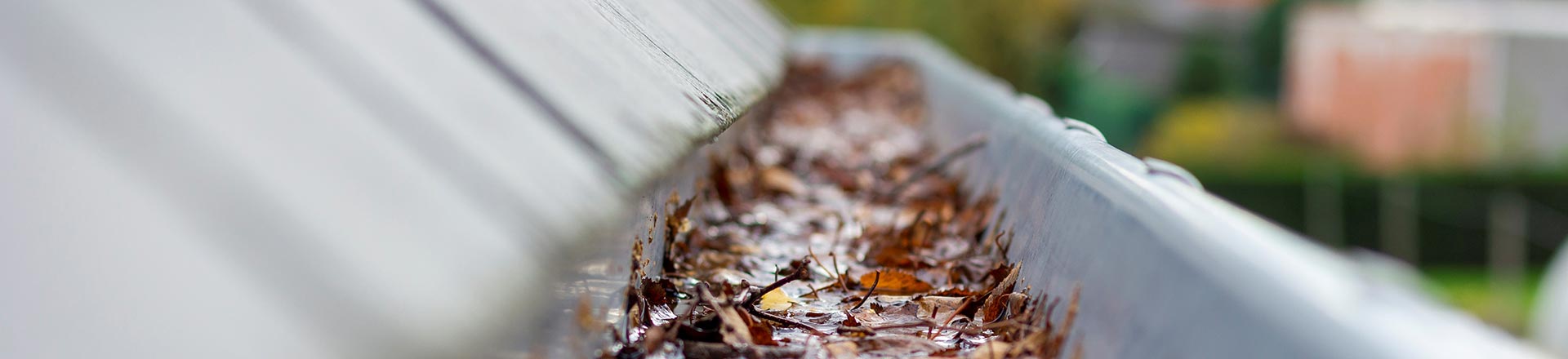clogged gutters